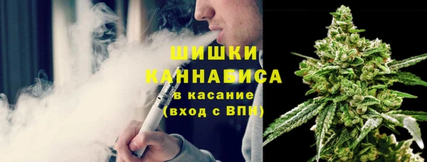 ALPHA PVP Новозыбков