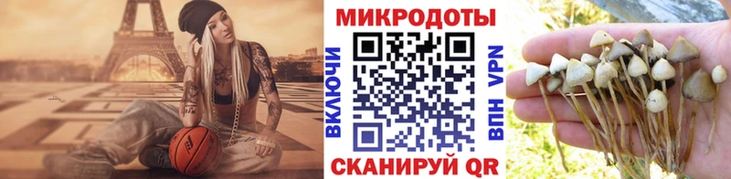 Псилоцибиновые грибы Cubensis  где найти   mega ТОР  Собинка 
